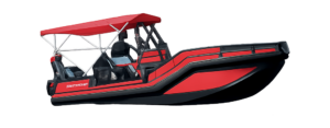 DGS-Pro-20